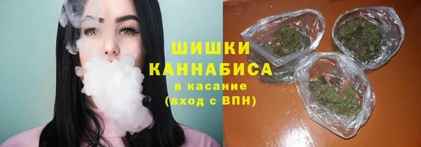 ALPHA-PVP Гусев