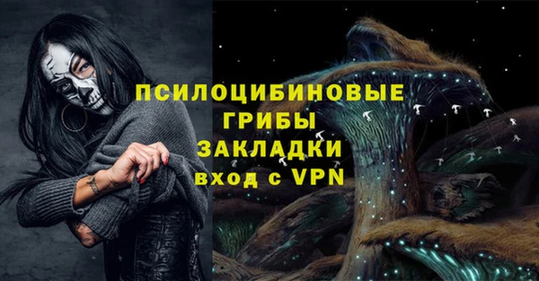 ALPHA-PVP Гусев