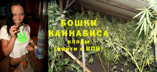 ALPHA-PVP Гусев
