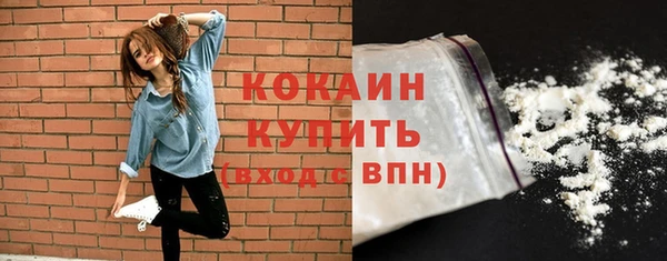 дурь Гусиноозёрск
