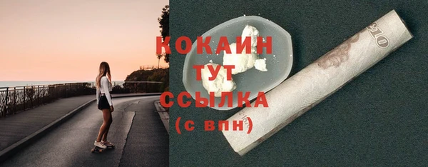 спайс Гусь-Хрустальный