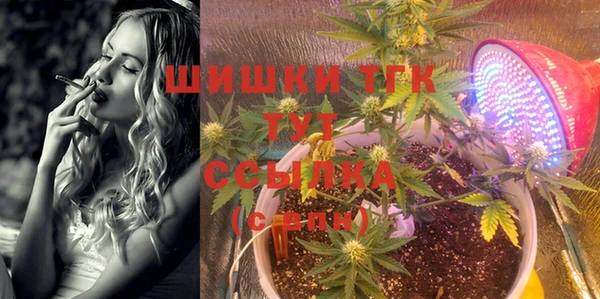 спайс Гусь-Хрустальный