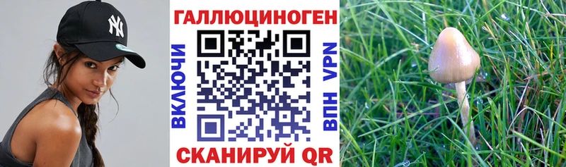 blacksprut сайт  Копейск  Псилоцибиновые грибы ЛСД  купить  